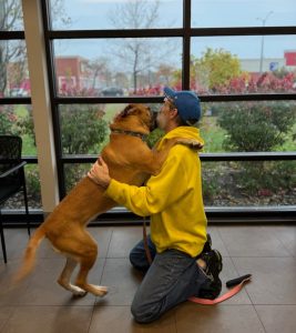 A Decade of Hope: The Unbreakable Bond Between a Man and His Dog