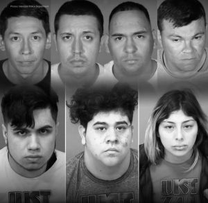 International Burglary Ring Busted in Arizona After West Coast Crime Wave, French Bulldog Recovered