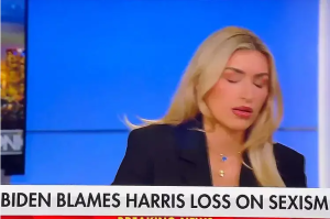 Fox News guest loses her train of thought, faints and topples out of her chair live on air.