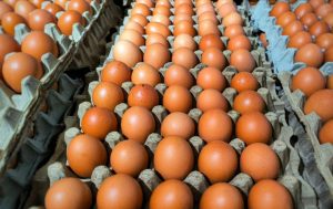 Egg Prices Crash by Over 60% as Market Stabilizes — What’s Driving the Sudden Relief?