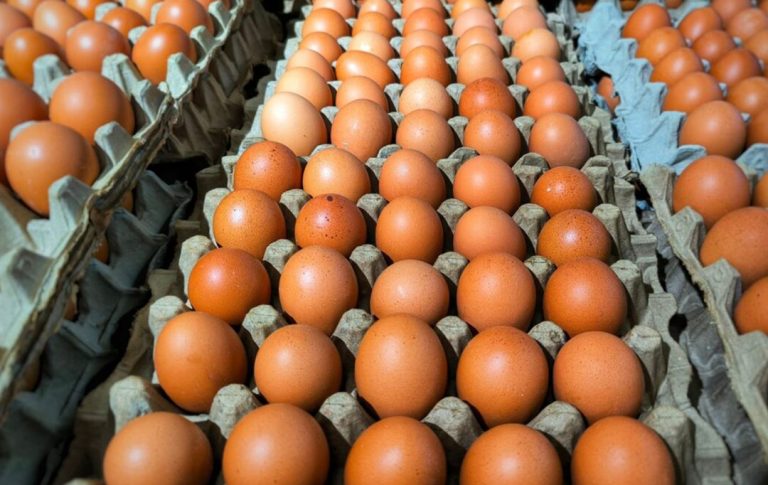 Egg Prices Crash by Over 60% as Market Stabilizes — What’s Driving the Sudden Relief?