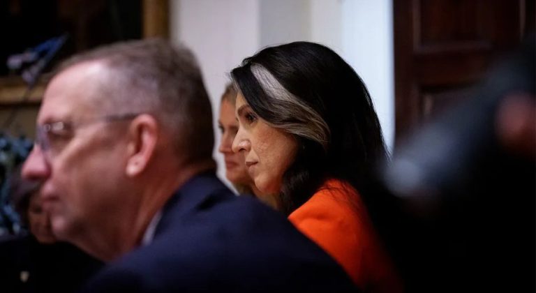 DNI Tulsi Gabbard Drops Bomb on Washington Post Reporter: “Actively Harassing Intel Officers”