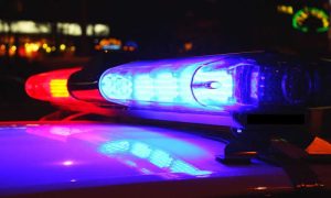Police Appeared at Our Recently Rented House Demanding Basement Access—The Find Was Unexpected