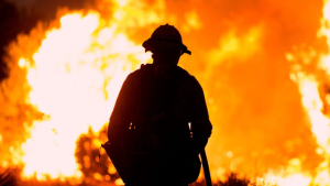 Authorities Investigate Sniper Ambush That Killed 2 Firefighters in Idaho Wildfire Trap