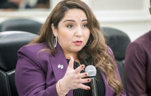 Congresswoman’s Foreign Remarks Spark Backlash Over National Allegiance