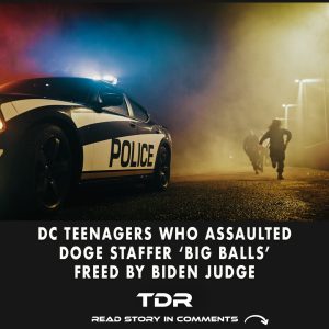 DC Teens Who Attacked Former DOGE Staffer Released by Biden-Appointed Judge