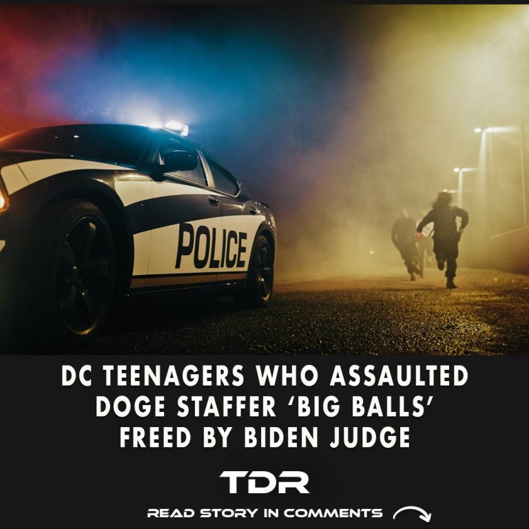 DC Teens Who Attacked Former DOGE Staffer Released by Biden-Appointed Judge