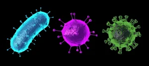 Chikungunya Outbreak in Guangdong: A Comprehensive Overview