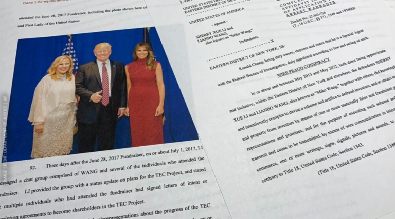 Inside the $30M Visa Fraud: How Political Connections Were Exploited