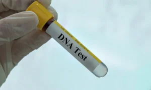 The DNA Test That Exposed More Than Paternity: A Family’s Hidden Truth Revealed