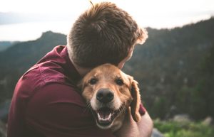 He Asked to Put His Dog to Sleep — Then the Vet Realized the Heartbreaking Truth Behind His Request