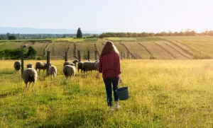 My Husband Forbade Me From Ever Visiting His Farm — After His Death, I Inherited It. What I Found Inside Left Me Frozen