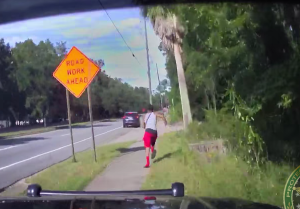 From Escape to Capture: K-9 Brings Suspect Down in Seconds
