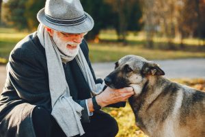 How Dog Ownership Can Boost Brain Health and Cognitive Function in Older Adults