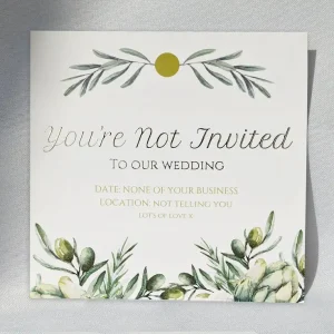 Excluded from My Son’s Wedding, Then Targeted for My Money — How I Turned the Tables on My Daughter-in-Law’s Scheme