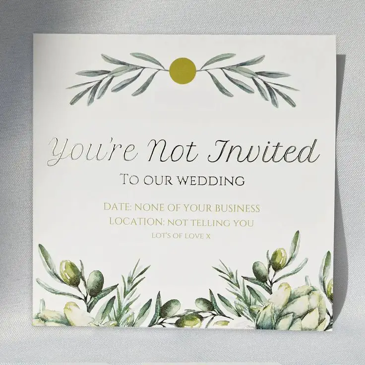 Excluded from My Son’s Wedding, Then Targeted for My Money — How I Turned the Tables on My Daughter-in-Law’s Scheme