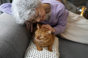 How Cats Improve Emotional Well-Being and Reduce Loneliness in Older Adults