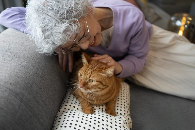 How Cats Improve Emotional Well-Being and Reduce Loneliness in Older Adults