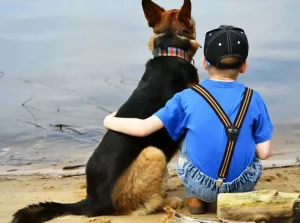 5-Year-Old’s Dog Becomes Hero When He Spots Something Doctors Missed