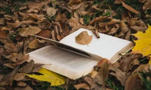 Pastor Disappeared Without a Trace in 1977 — 25 Years Later, a Logger’s Discovery Beneath a Tree Stump Changed Everything
