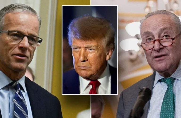 New Movement in the Senate Hints at a Shift in the Shutdown Standoff