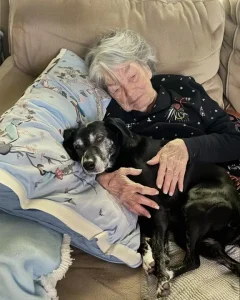 While My Family Fought Over Grandma’s Will, I Took Her Dog Home — What I Found Hidden in Its Collar Changed Everything