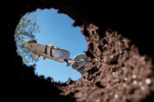 Every Afternoon, My Elderly Neighbor Dug in the Same Spot Without Saying a Word—But the Day She Collapsed, I Finally Looked Into the Hole… and What I Saw Changed Everything.