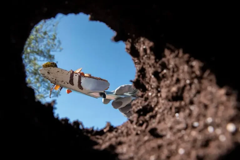 Every Afternoon, My Elderly Neighbor Dug in the Same Spot Without Saying a Word—But the Day She Collapsed, I Finally Looked Into the Hole… and What I Saw Changed Everything.