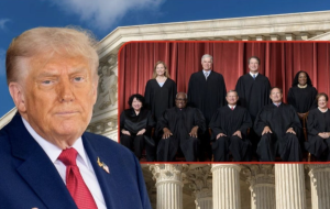 Pending Review at the Crossroads of Law and Politics