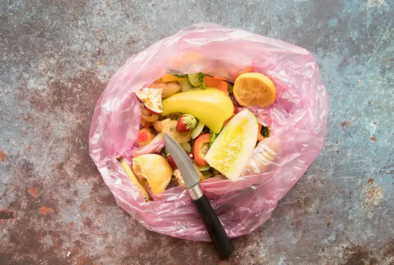 Every Morning, a Little Girl Collected Leftovers From a Grocery Bin — When the Owner Followed Her, She Discovered a Secret That Broke Her Heart