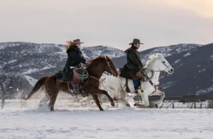 They Said His Life Was Over — A Broken Veteran Living Alone in Wyoming’s Cold Valleys Found a Giant Horse Chained to a Tree… With a Note That Changed Everything