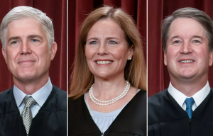 Supreme Court Clarifies Standard for Evaluating Police Use of Force