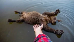 The River, the Cub, and the Mother: A Lesson in Wilderness Survival