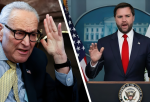 ‘All for Nothing’: Vance Blasts Democrats After Shutdown Ends With No Concessions