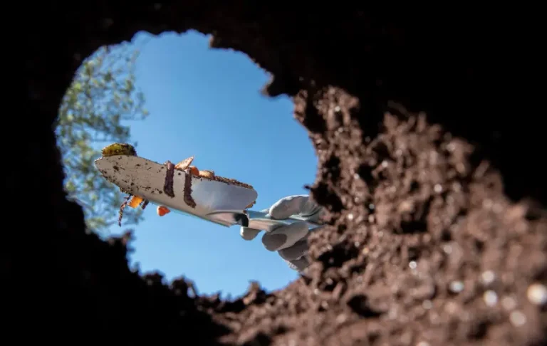 My Husband Left His Dying Mother in My Care While He Traveled for Business — What She Revealed Before She Died Changed My Life Forever