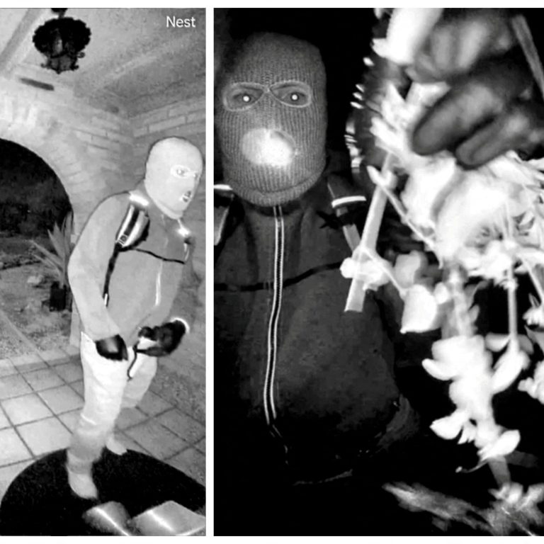 Disturbing detail from Nancy Guthrie’s security footage may identify suspect