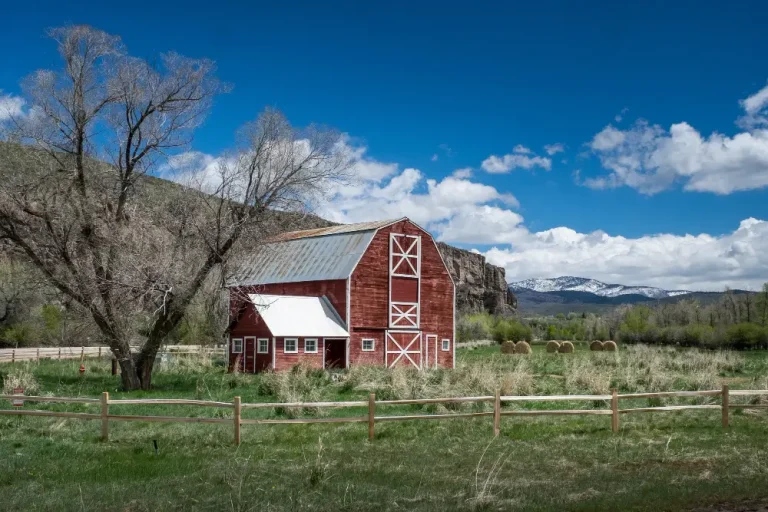 The HOA Left Their SUV on Our Ranch — Grandpa Hooked It to the Electric Fence and Waited
