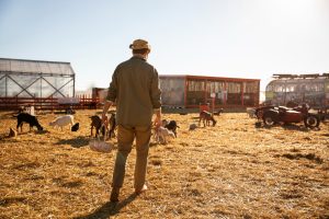 They Thought They Could Take My Ranch for My Brother Until the Sheriff Stepped In