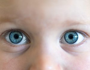 My Mother-in-Law Questioned My Baby’s Blue Eyes at Her First Birthday, But the Envelope I Placed in Front of Her Exposed Every Secret