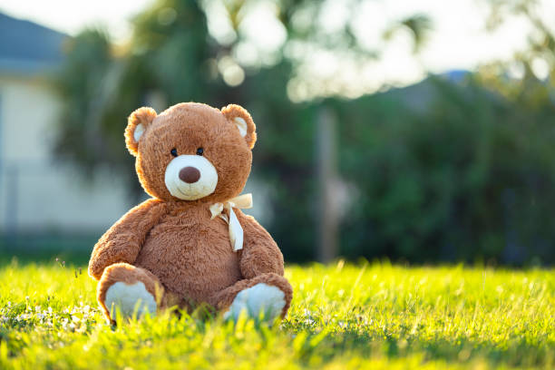 I Helped My 82-Year-Old Neighbor With Her Lawn The Next Morning, the Sheriff Knocked on My Door With a Chilling Request