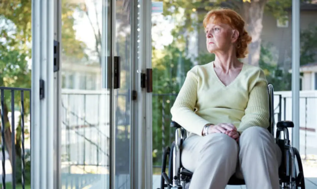 “My Son Turned Me Away While I Was in a Wheelchair — The Bank’s Reaction the Next Morning Changed Everything”