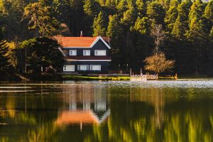 My Parents Invited 20 Guests To My Lake House Until I Refused To Fill The Fridge