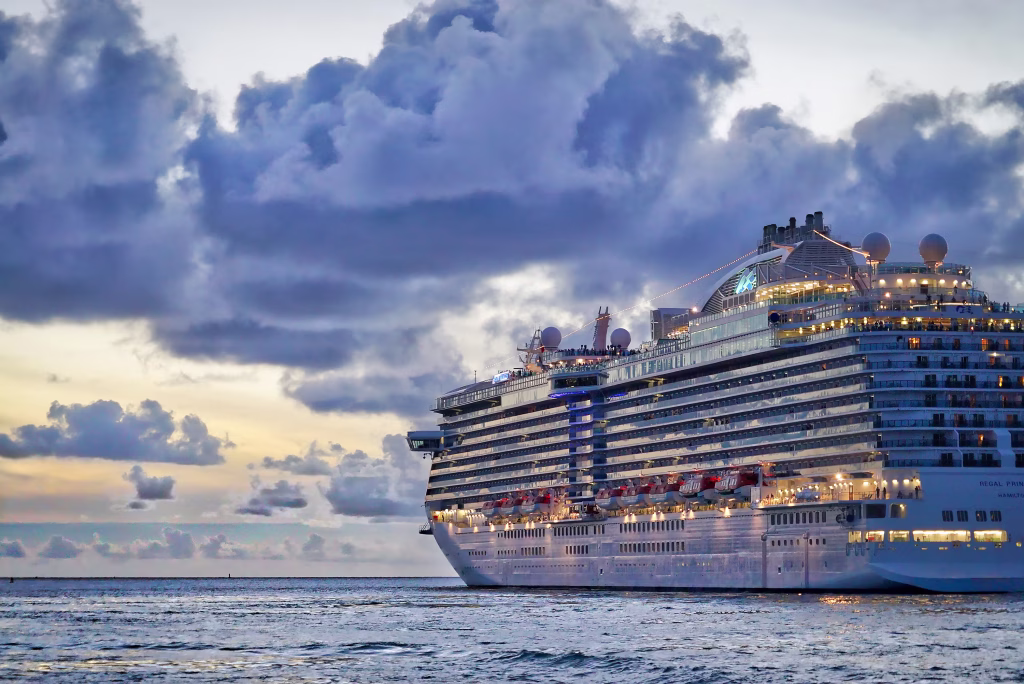 My son and his wife took their son on a $20K cruise and left their daughter home alone