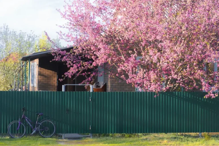 A Five Inch Fence Error Stopped My Neighbors Dream Deck